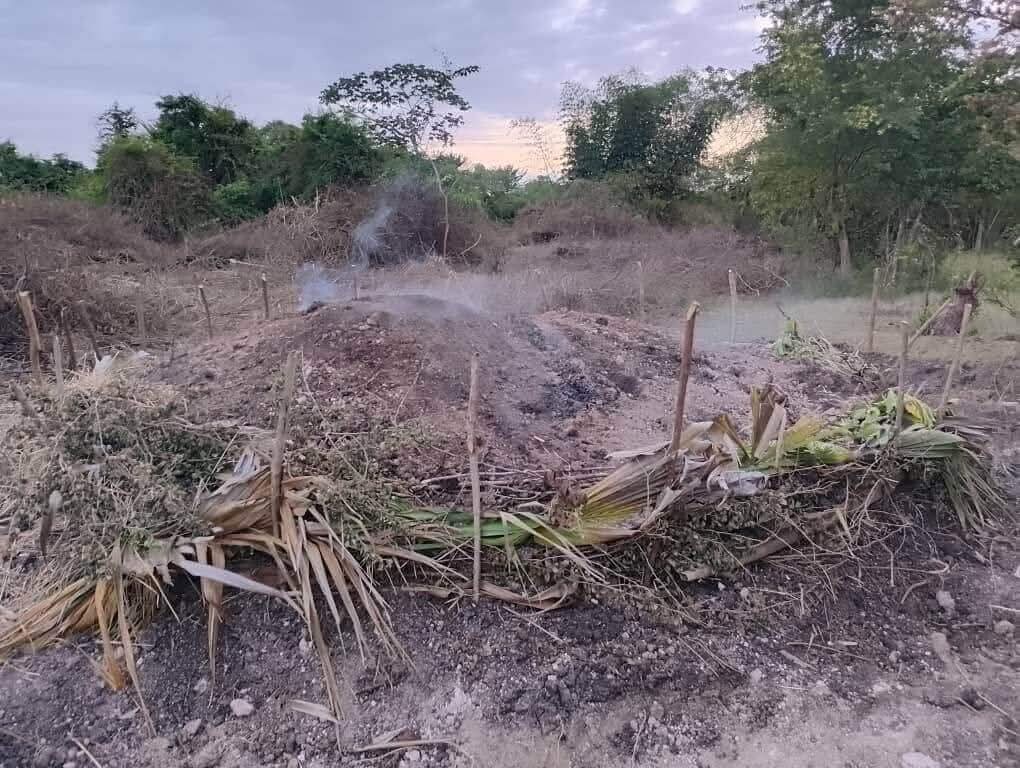 Col Vert s’indigne de la destruction du jardin botanique des Cayes