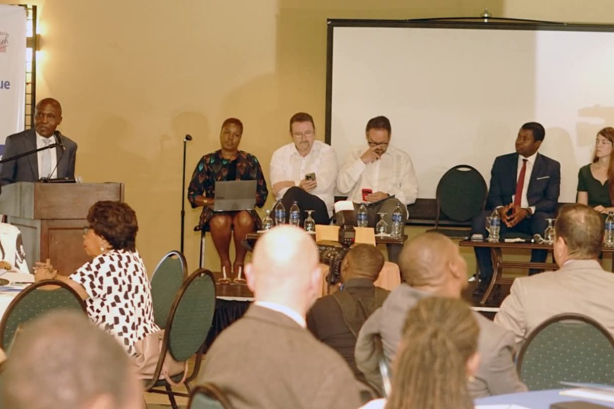 Haïti : des acteurs nationaux et internationaux discutent des enjeux liés au renforcement du processus électoral