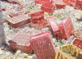 Une dizaine d’individus arrêtés et des centaines de cocktails Molotov détruits lors d’une opération de la FRG à Tabarre